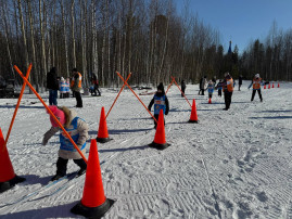 Лыжный патруль Лыжный патруль.
